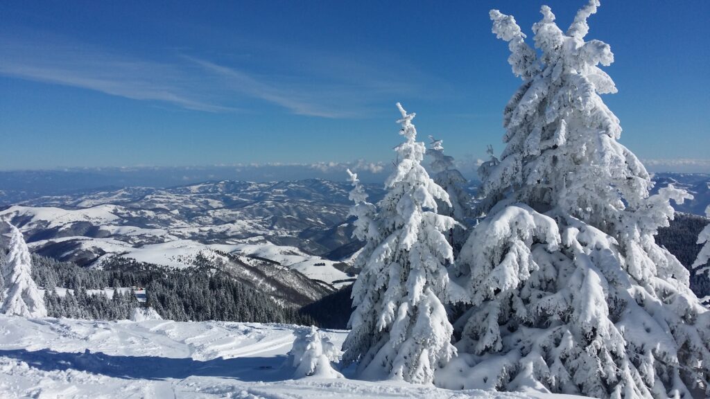 Peisaj de iarnă în Kopaonik, Serbia