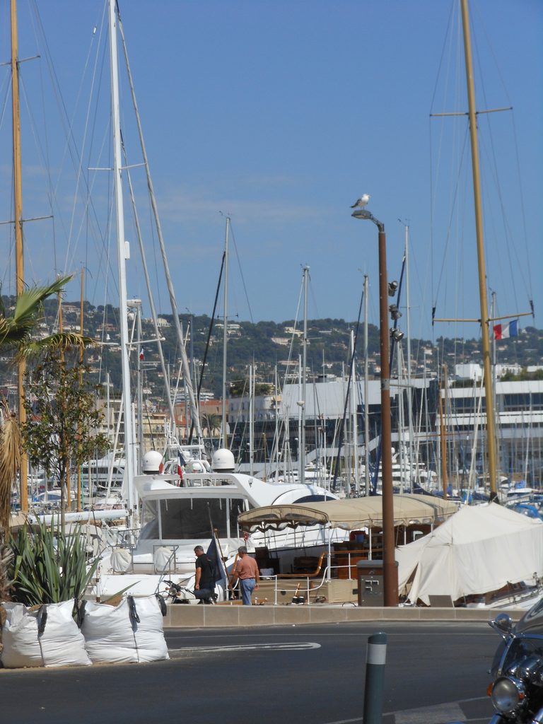 Portul din Cannes, cu iahturile care completează imaginea luxoasă a Rivierei Franceze.